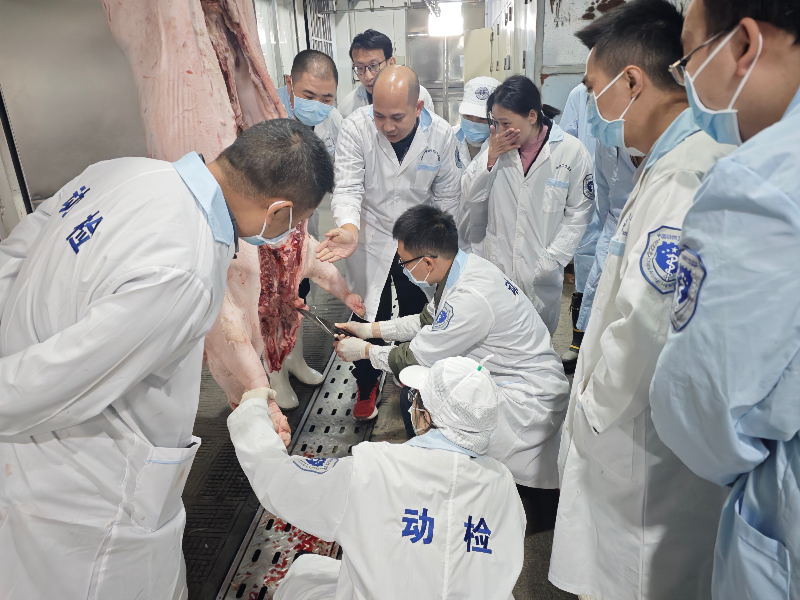 市疫控中心多措并举打造高素质动物检疫队伍