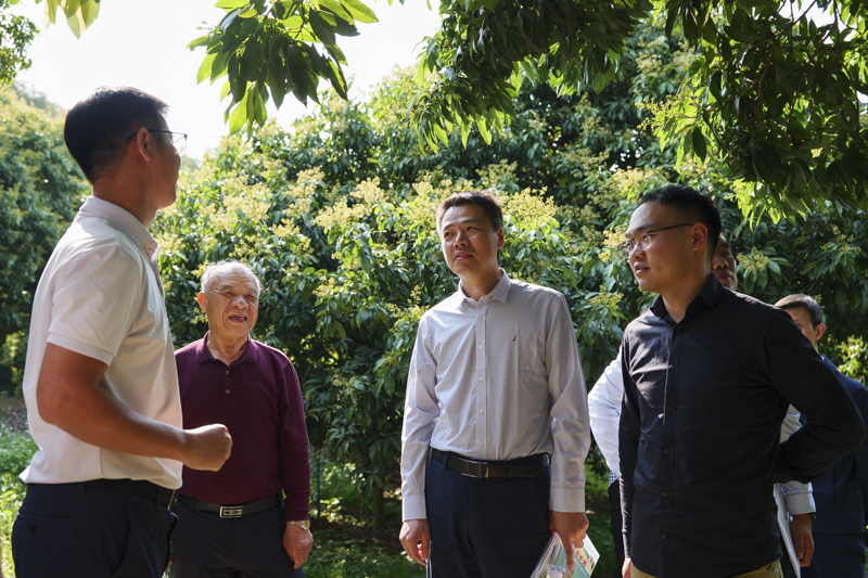 全国农业技术推广服务中心赴莞调研荔枝产业高质量发展新路径