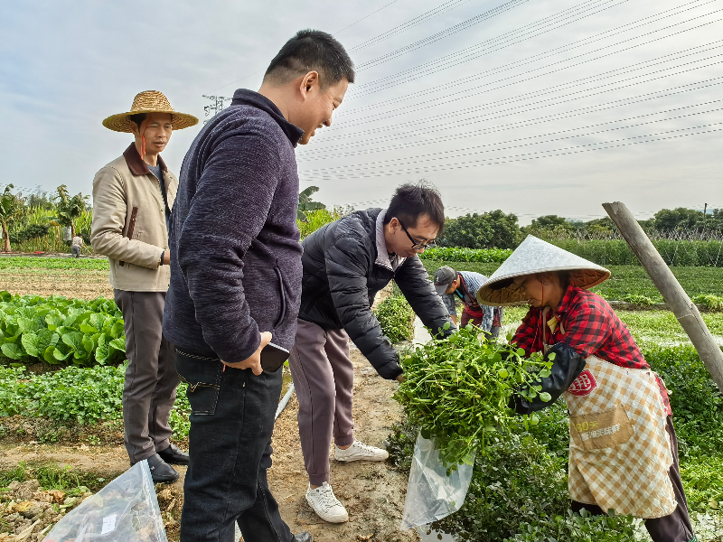 市农检所在道滘开展农产品质量安全例行监测