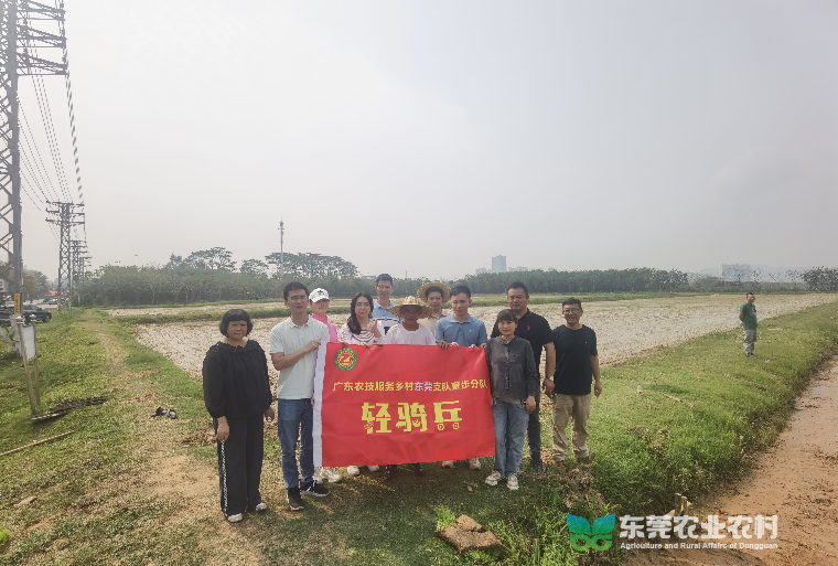 “轻骑兵”挺进田间，科技赋能春耕春管加速度