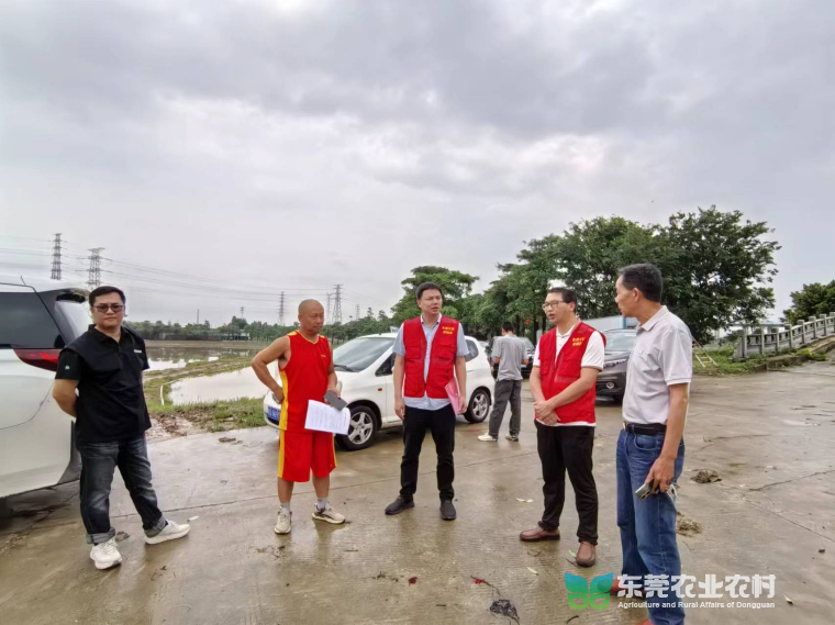 急访中堂2村：“轻骑兵”出击，助力农户减损复产