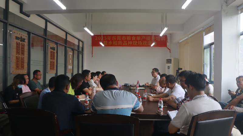我市举办2025年粮食单产提升培训及水稻新品种现场观摩会