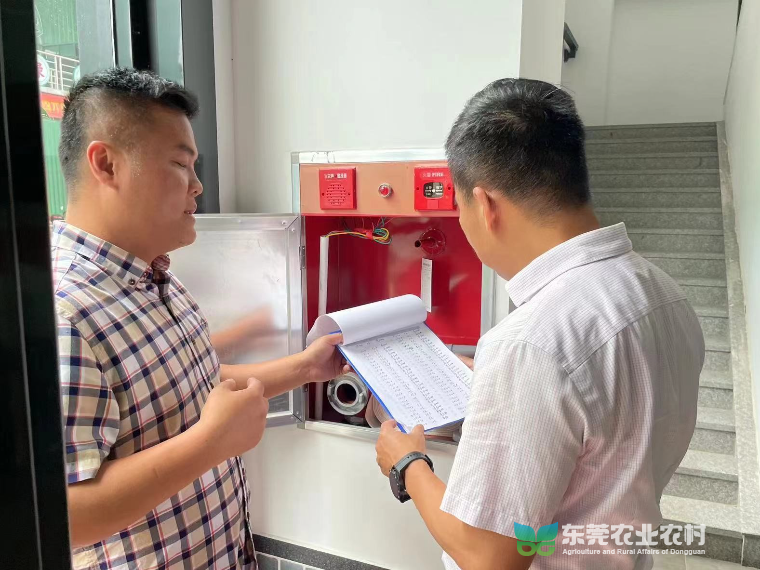 樟木头开展农业领域安全生产大检查行动