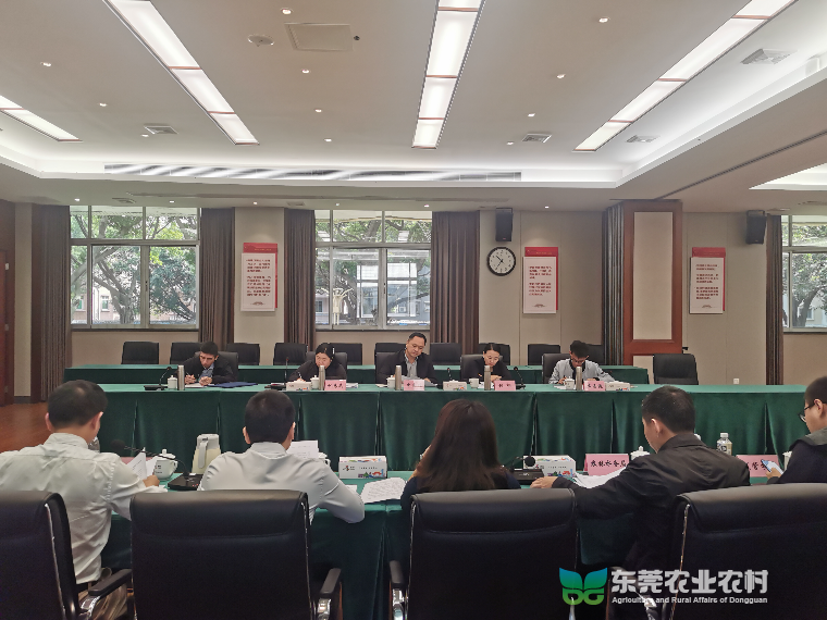 七项举措推进“二手房东”专项整治，初现显著成效