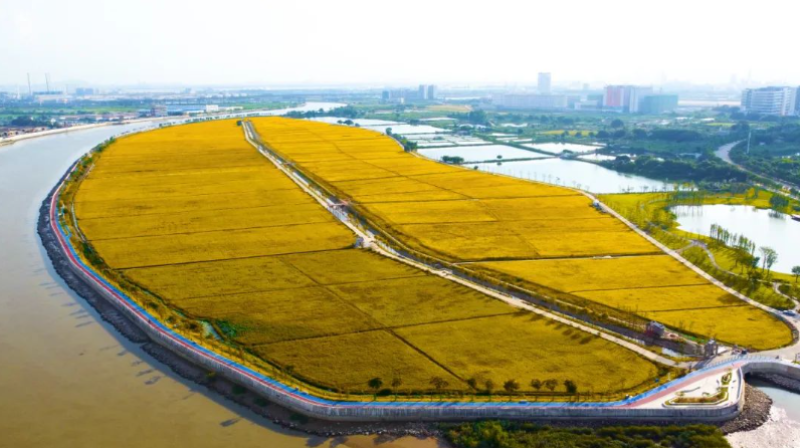 以“三生融合”为笔，绘耕地保护与城市发展新卷