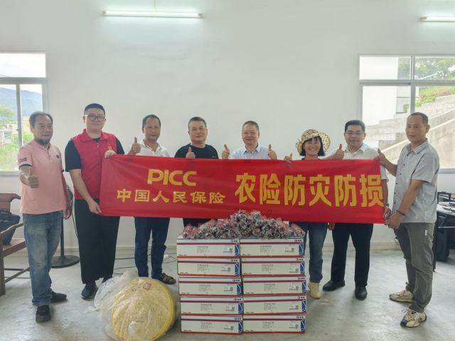 创新“保险+”模式助农惠农 助力“百千万工程”落地见效