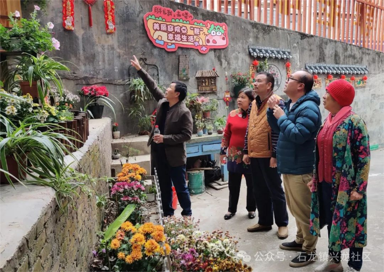 专家赴石龙兴龙社区指导绿化，为社区高质量发展添能