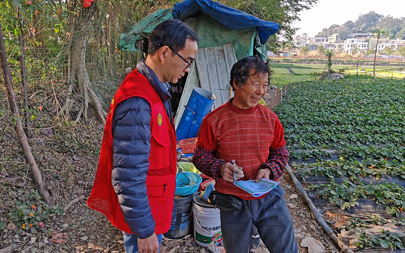 茶山农业科技特派员深入基层为节前农产品质量安全保驾护航