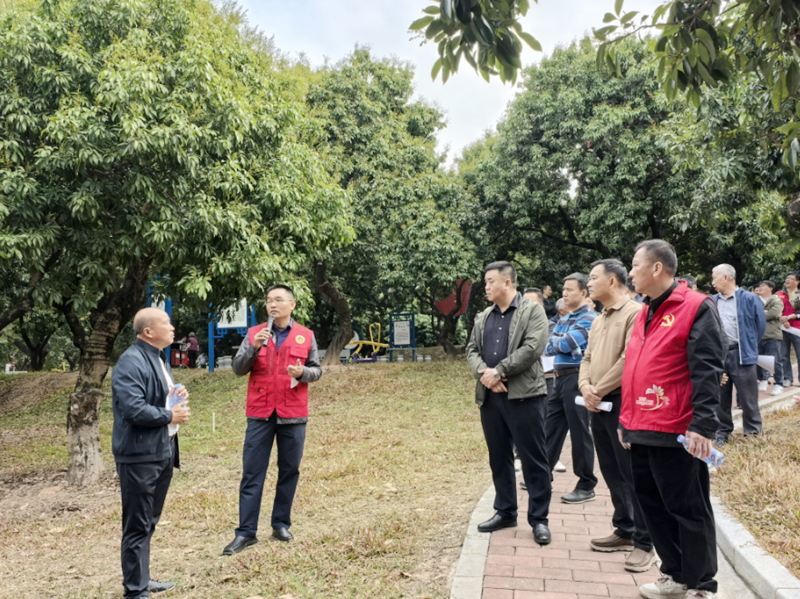 东坑：农业专家“传经送宝” 助“荔”种植提质增产