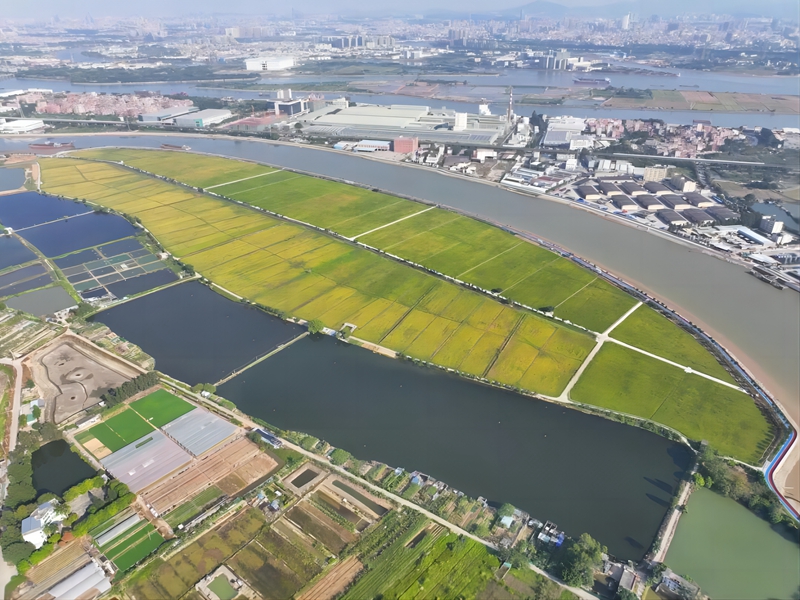 洪梅：勾勒绿美乡村新景，为“百千万工程”注入活力