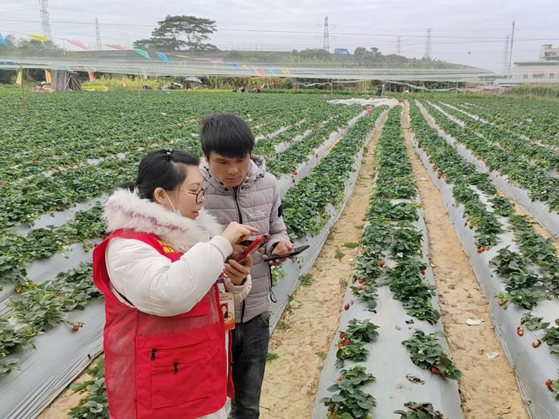 企石：春耕启新程 轻骑伴农行
