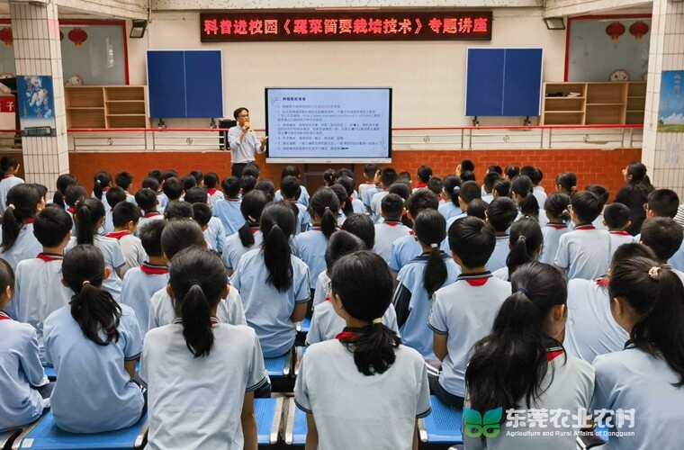 蔬菜栽培科普活动“邂逅”万江第七小学