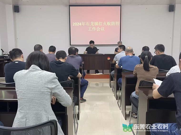 把握春季黄金期，石龙强势推进红火蚁防控行动
