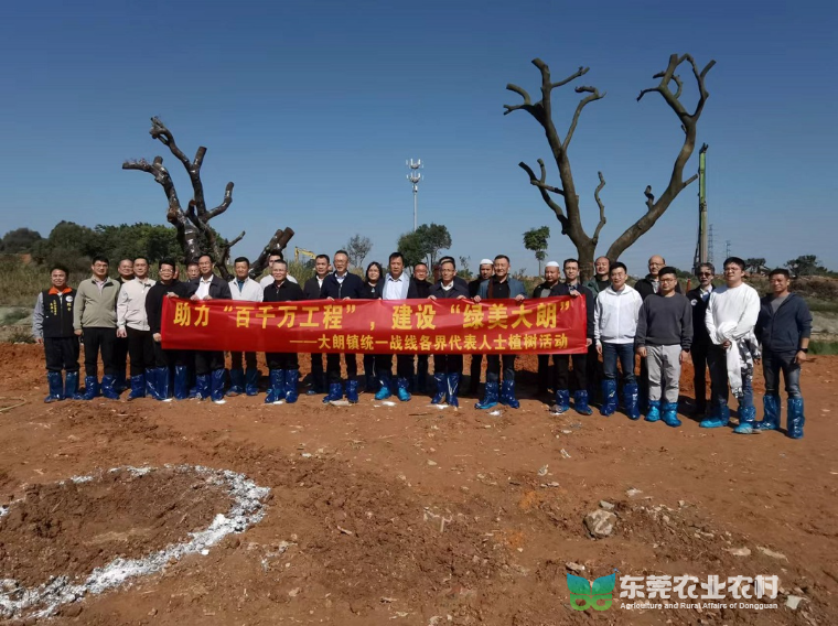 大朗奏响乡村绿化新乐章，汇聚绿色蓬勃力量