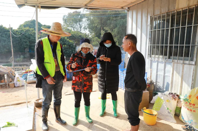 守护“舌尖上的安全”！企石持续开展节前农产品质量安全检测