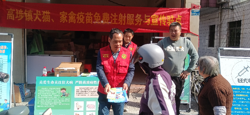 高埗启动犬只免疫行动，筑牢人畜健康“安全墙”