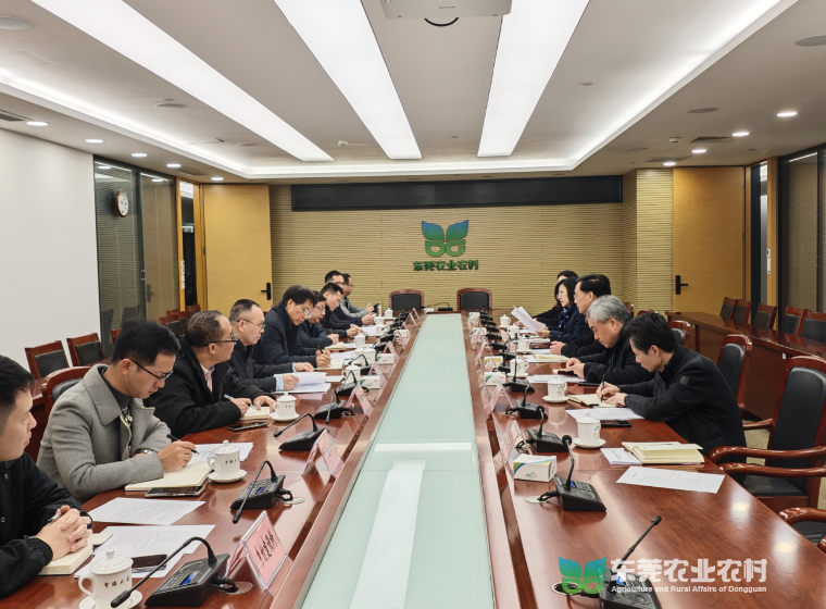 2024年《东莞市农村集体资产管理条例》待审议