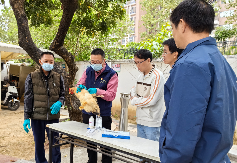 东坑这些动作，为春季动物防疫工作注入“强心剂”