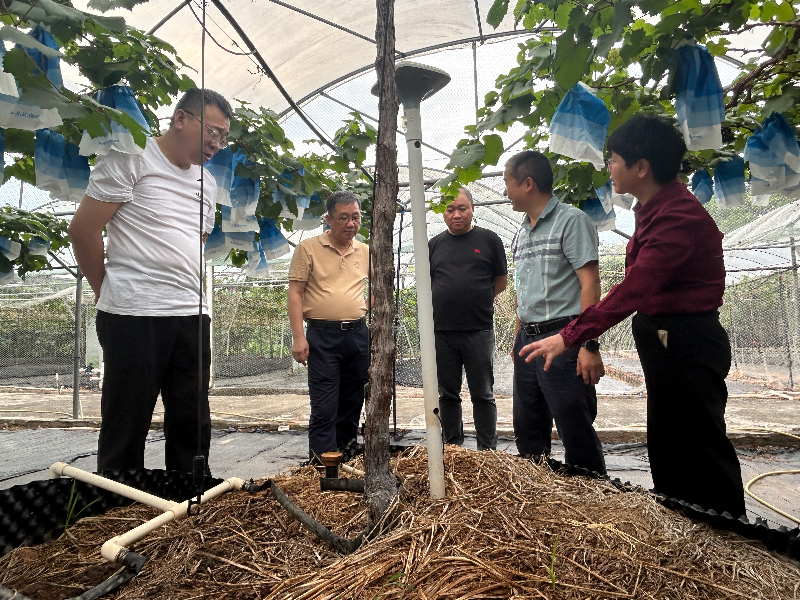 国家农业智能装备工程技术团队来莞调研现代农业智能装备应用工作情况