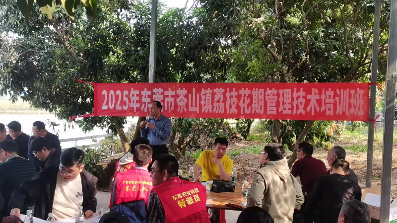 茶山举办2025年荔枝花期管理技术培训班