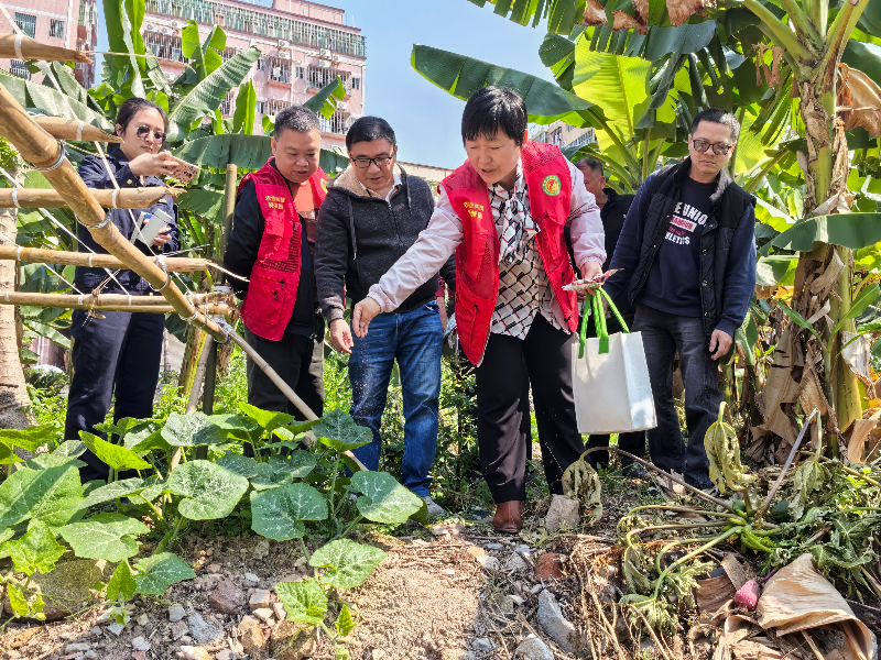 茶山镇2025年红火蚁防控技术培训班顺利举办