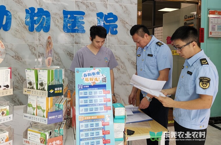 黄江开启动物诊疗机构专项检查行动