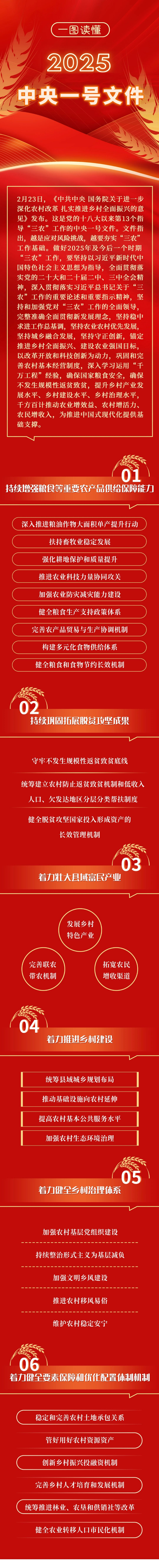 一图读懂丨2025年中央一号文件