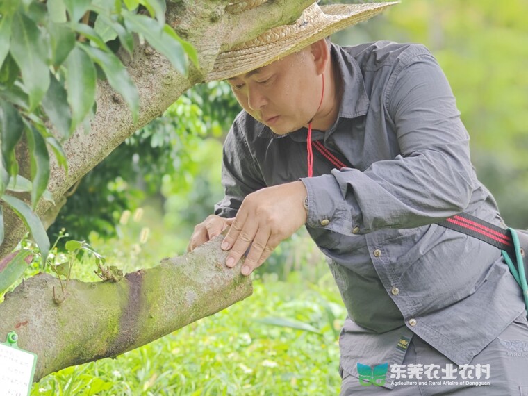 新农人蔡建权：以技术服务点亮乡村振兴之光