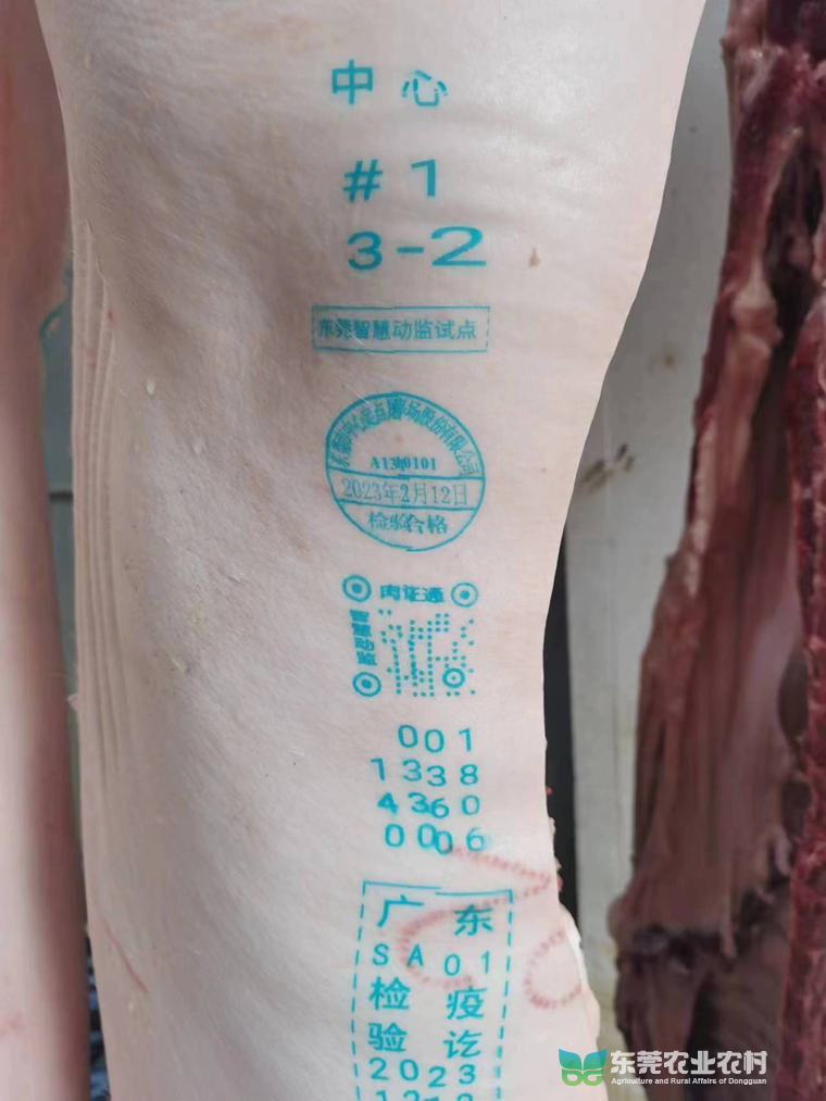 广东省首个！本市试点数字喷码出具生猪屠宰检疫检验合格验讫印章工作