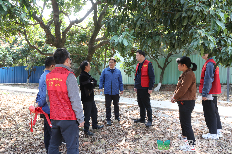 “数字轻骑兵”支招，为荔农保花保果添妙计