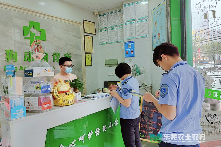 东莞各镇街开展动物诊疗机构“节前大体检”行动