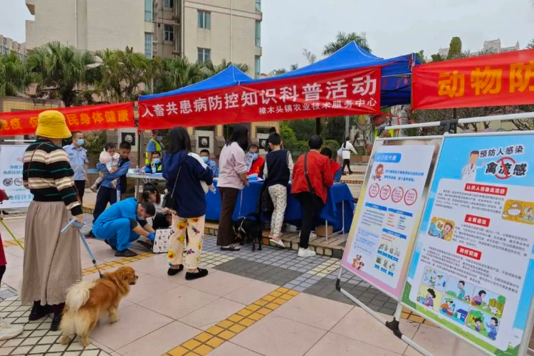 樟木头集中免疫犬猫，稳固人畜共患病防控屏障