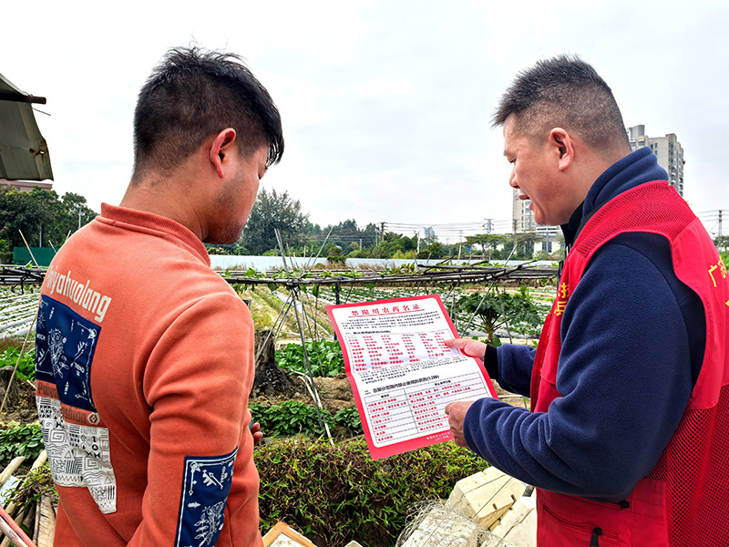 道滘农技“轻骑兵”开展草莓用药安全田间宣讲指导