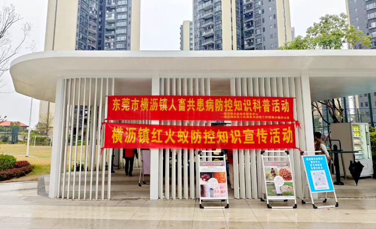 横沥镇精细科普：开展红火蚁危害防控专项宣传活动