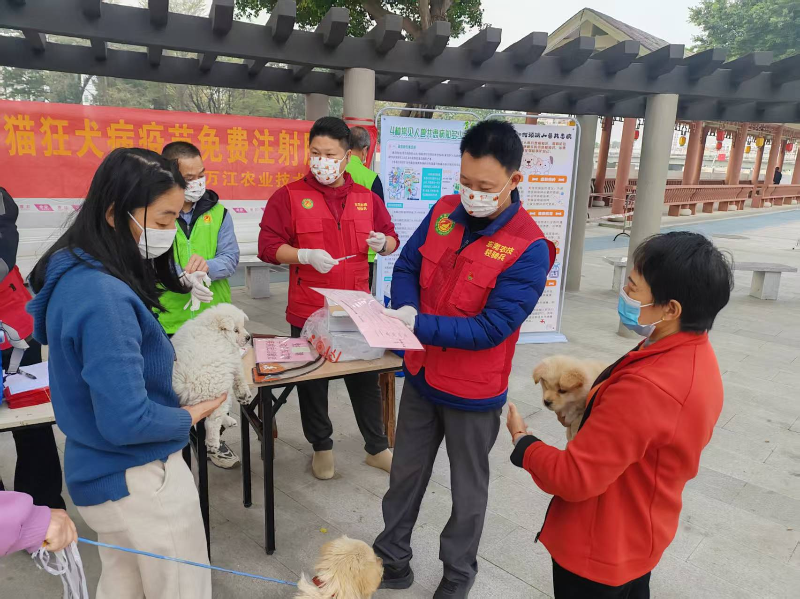 万江：开展春季动物防疫行动，筑牢动物防疫屏障