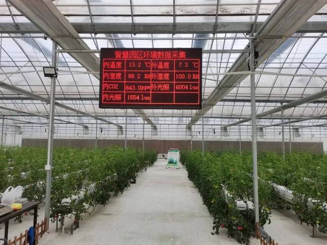 义乌佛堂智慧蔬菜产业园：引领高效农业新潮流