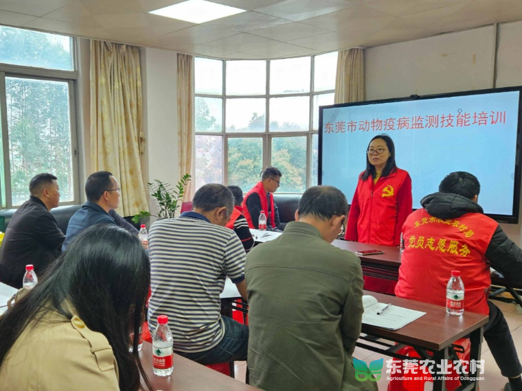 东莞市动物疫病采样检测技术培训直通车“开进”清溪（第二站）
