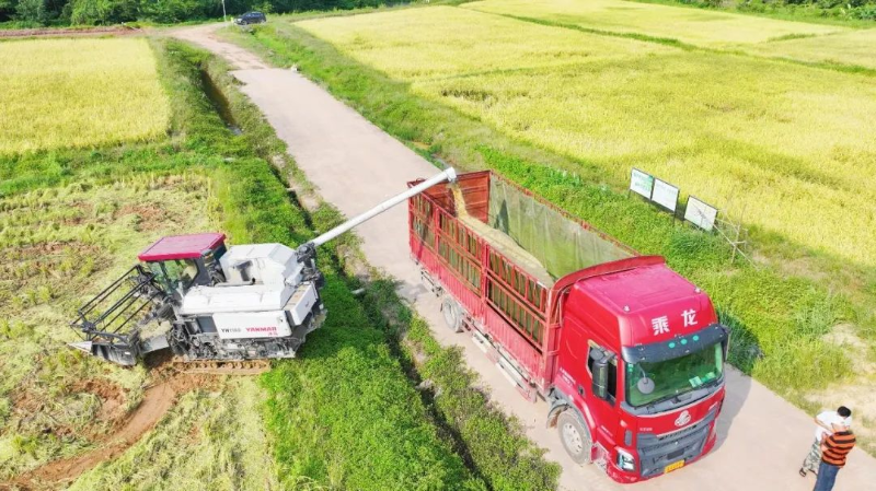 交出“成绩单”！“数”说2024年清溪农产品质量安全工作