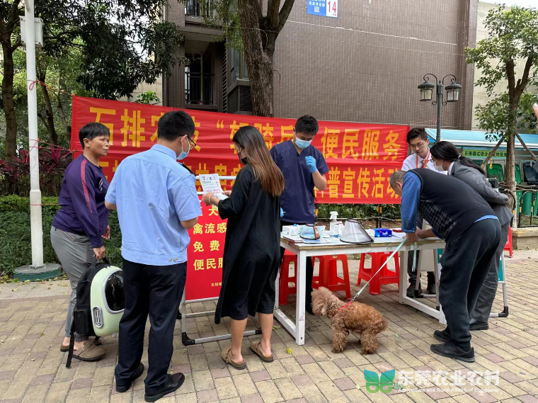 石排社区举办动物防疫知识宣传活动