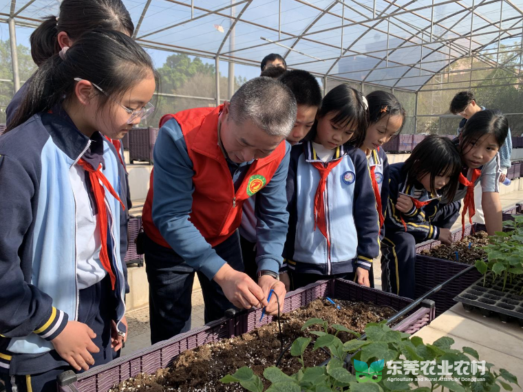 市农技“轻骑兵”踏入洪梅镇第二小学