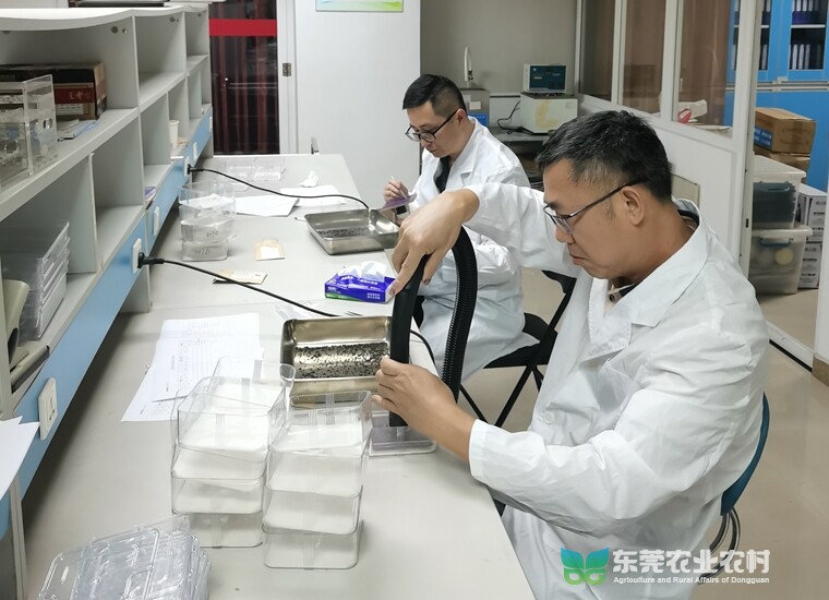 我市农作物种子检验机构迎新一轮次全国能力验证考核“大考”