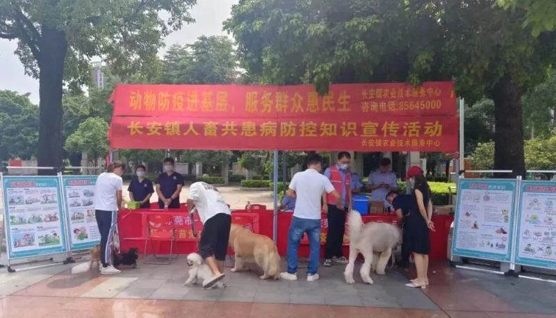 长安开启2024年秋季动物集中免疫大行动