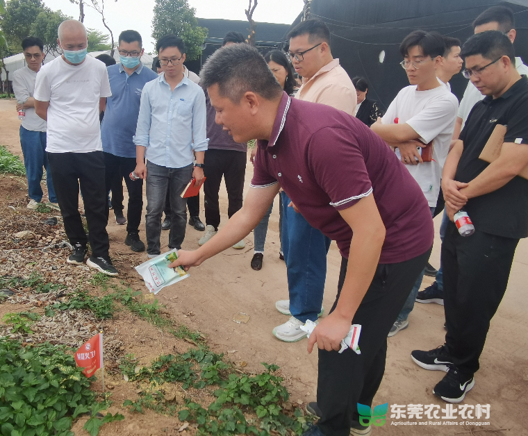道滘举办红火蚁防控技术专题培训课程