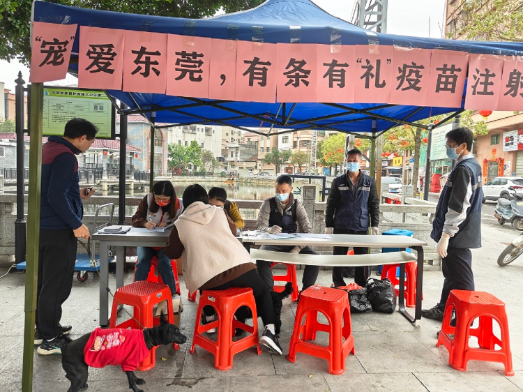 厚街“宠粉”升级！犬猫狂犬疫苗注射便民服务有礼相送