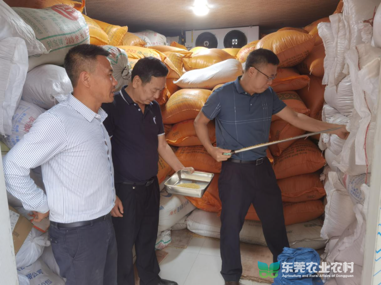 我市开启市级粮食应急储备种子质量监督抽查行动