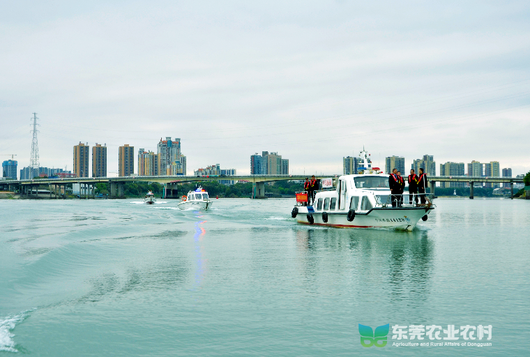 2024 年珠江禁渔专项执法行动，市海洋综合执法支队正式开启