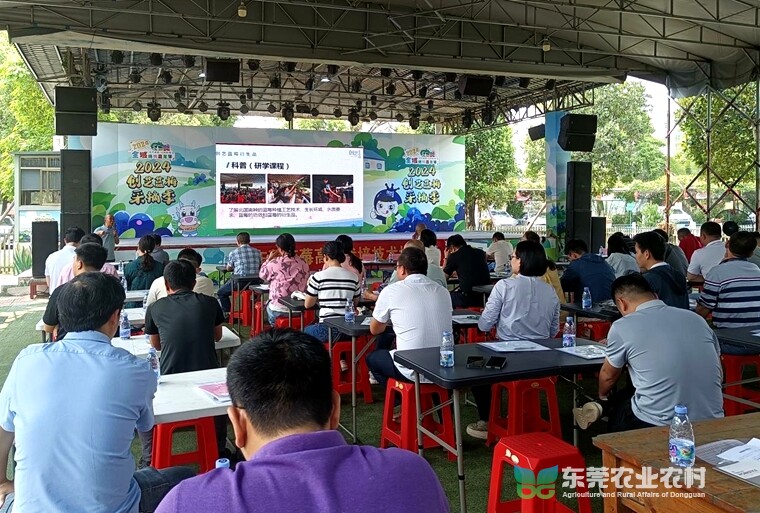 东莞麻涌开展蓝莓高效栽培技术培训班