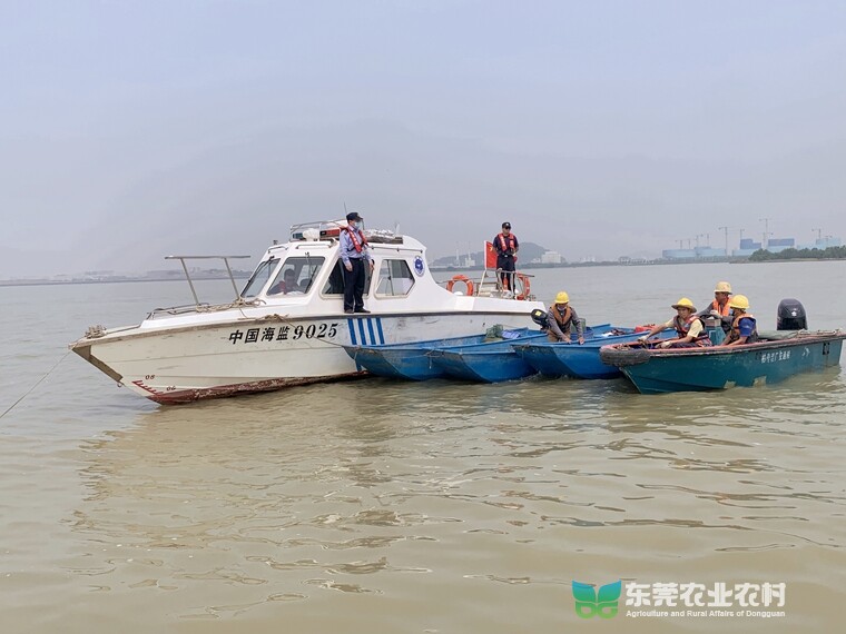 东莞打响涉渔“三无”船舶清理整治联合执法行动攻坚战