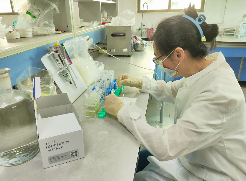 道滘推进胶体金农残速测，筑牢早造冬瓜质量安全屏障