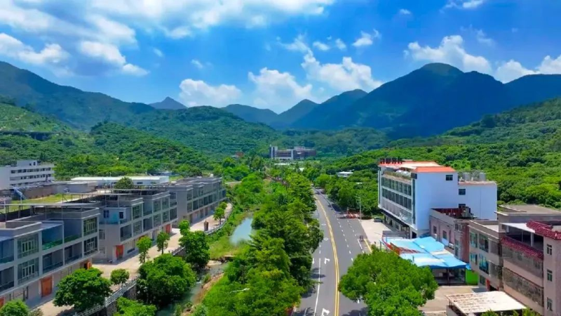 谢岗：抓实“典型村”培育，科学谋划“百千万工程”项目